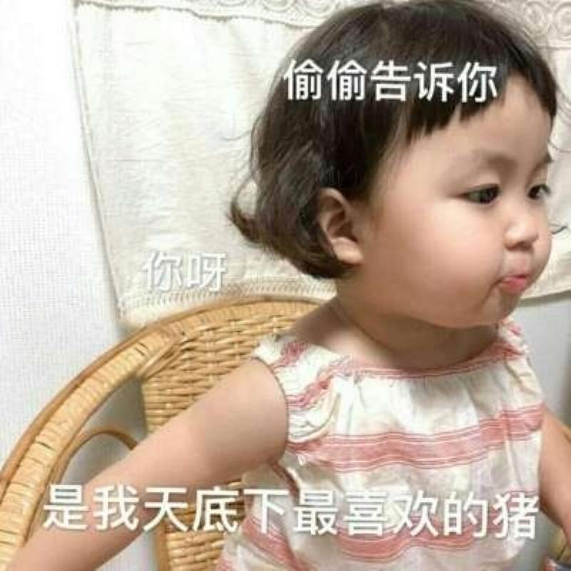 永安同城陪游陪玩旅行网红板晨