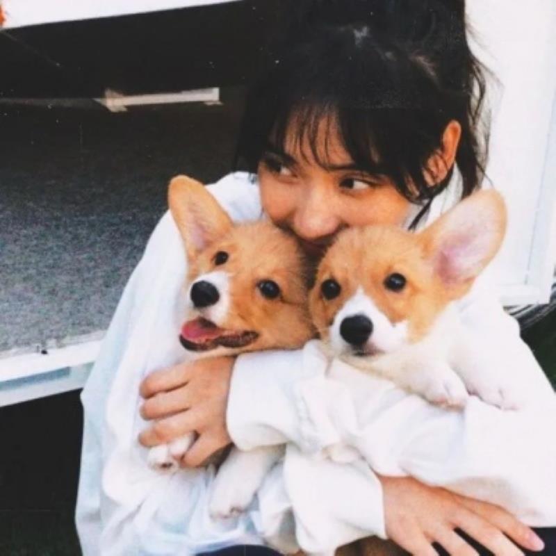 庆阳结伴游玩人力资源袭春蓉