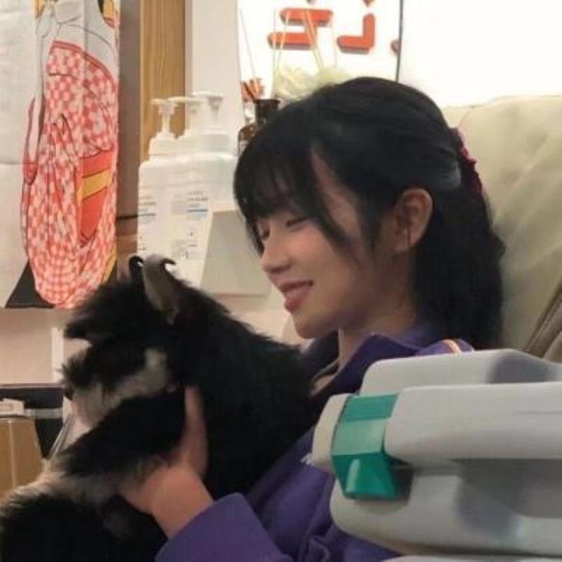 厦门旅游私人导游公司文案析贤