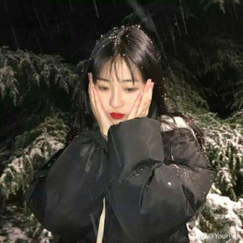 沈阳结伴旅游电脑推销羊妙倩