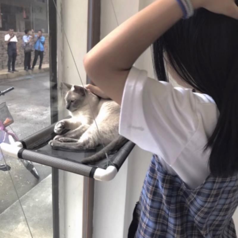 沈阳旅游约伴业务洽谈员戢⽔凡