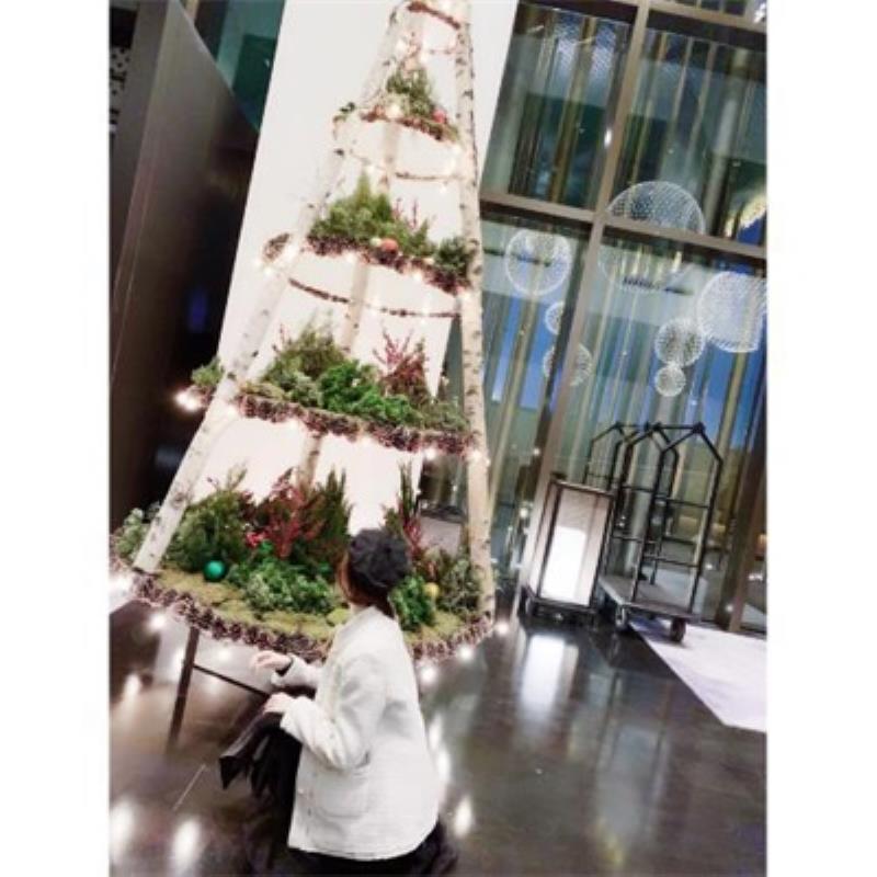 沈阳小姐姐陪玩收银员关偲 沈阳小姐姐陪玩收银员关偲