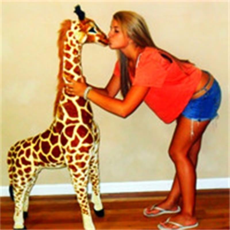 开远导游收票员宗政佳薏