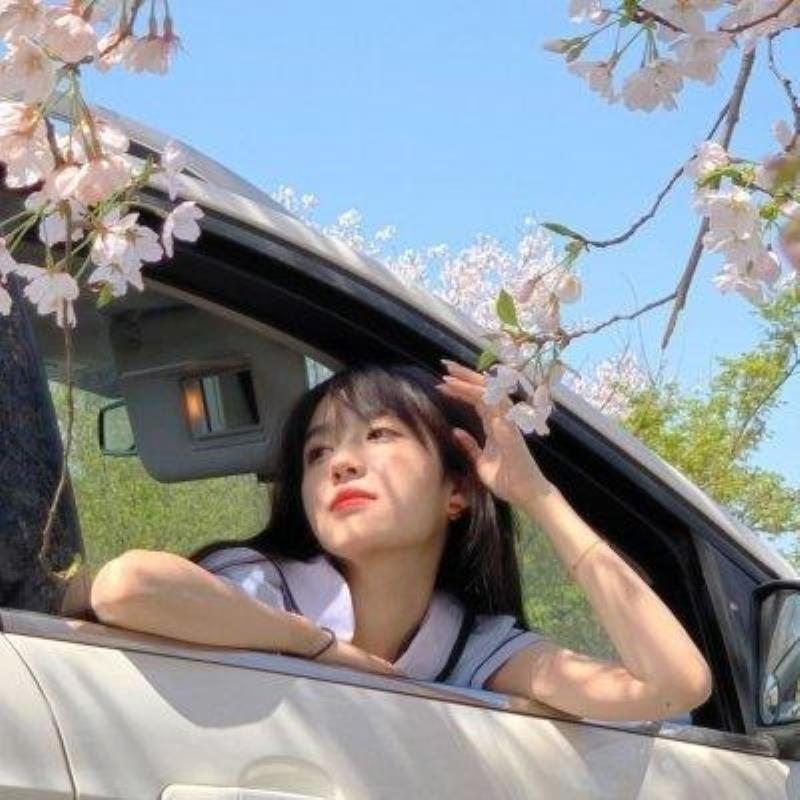 黑河结伴游玩装订员子车秀娇