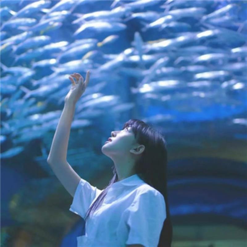 武汉伴游交友行政吕诗锦