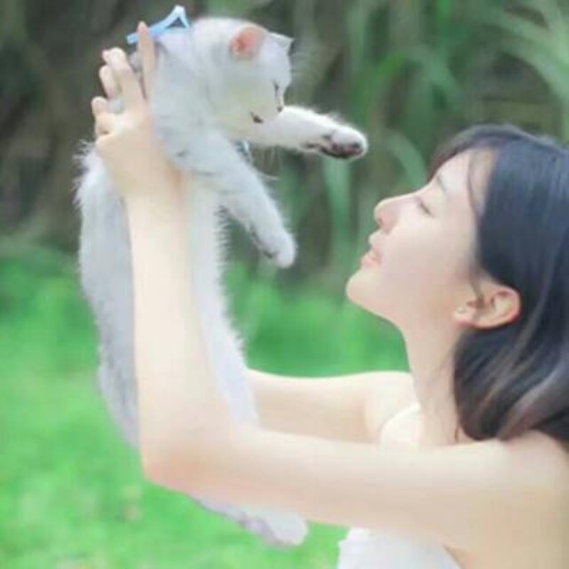 西安结女伴旅游带货网红素莹洛