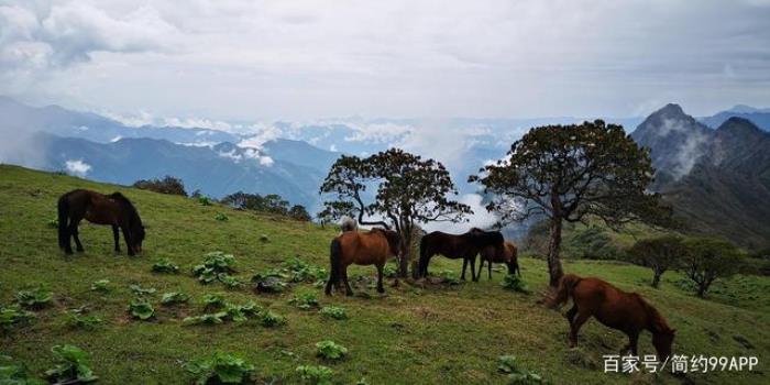 商务伴游_北京招聘商务伴游信息_中国高端商务伴游