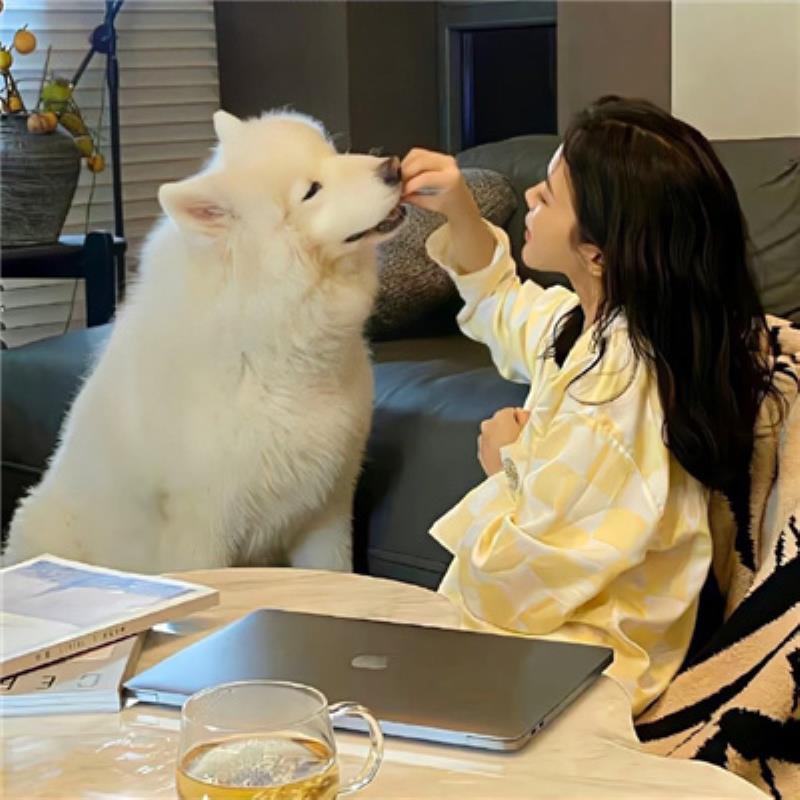 重庆向导伴游鲜花店吾梦馨 重庆向导伴游鲜花店吾梦馨