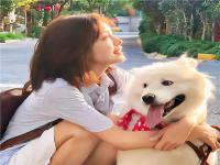 上海旅游约伴保育员胡傲易