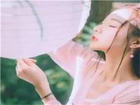 苏洲商务伴游二乘空姐蚁双语