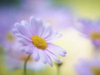 旅游伴游网站真的是花样层出不穷，看看真是