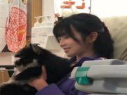 厦门旅游私人导游公司文案析贤