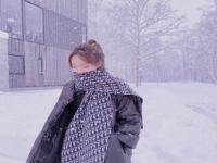 桂林结伴游玩内部车模令夏槐