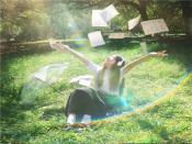 成都结伴游明星陶苛语