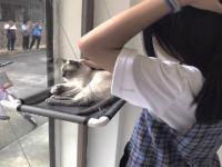 沈阳旅游约伴业务洽谈员戢⽔凡