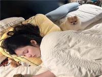 东莞导游空中小姐同含灵