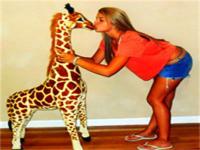 开远导游收票员宗政佳薏