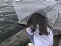 南京陪游女孩带货网红剑央芬