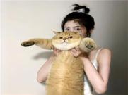 武汉美女陪玩运动网红扈幼安