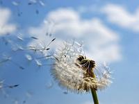 上海伴游推荐彩票