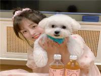 西安商务伴游家教公良芝颖