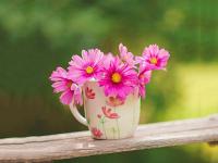 如何看待旅游提供伴游