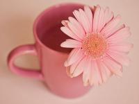 旅游伴游自由行---长沙旅行意义