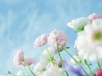 伴游旅游，真交益者